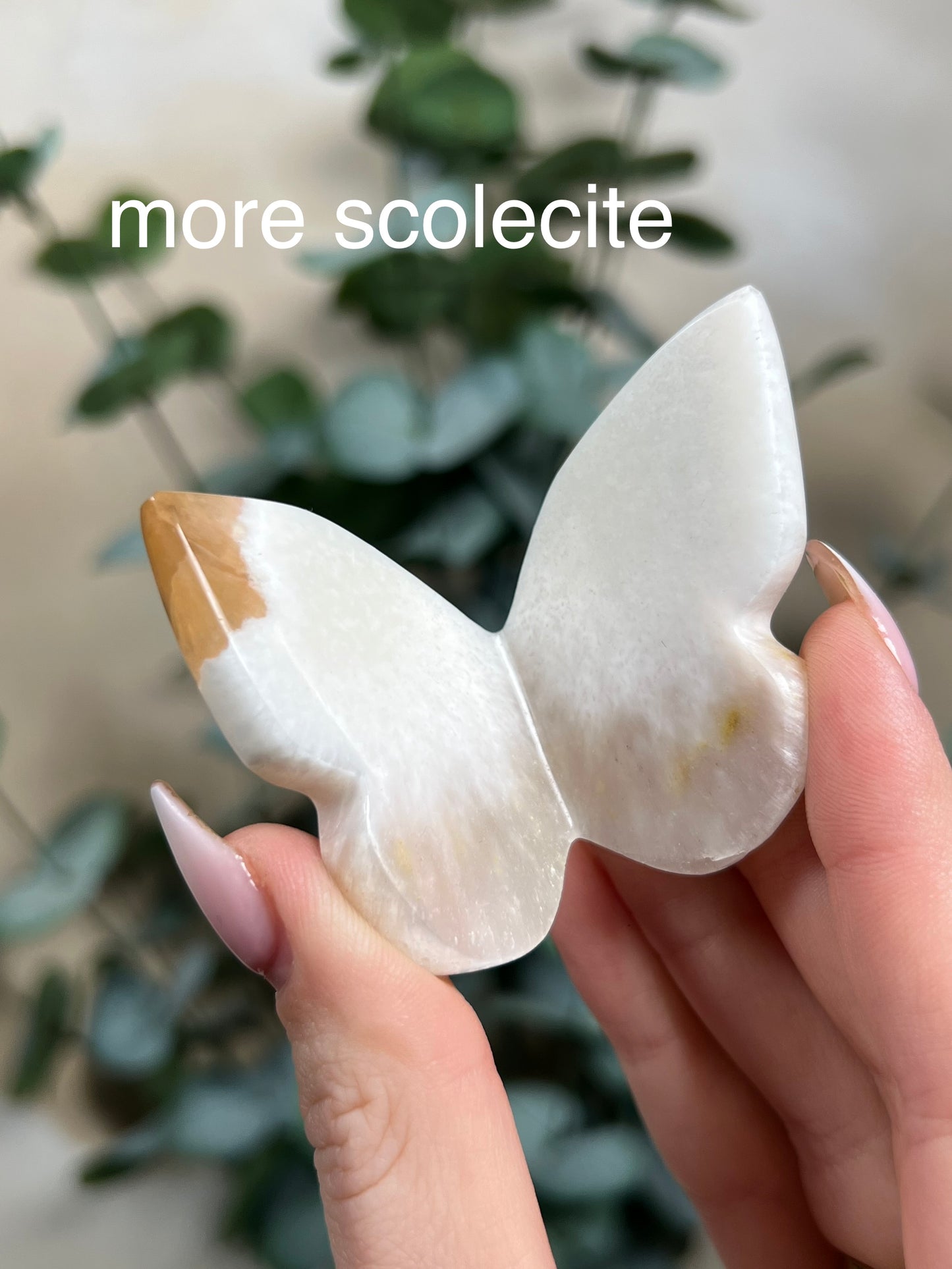 Stilbite in Scolecite Butterflies