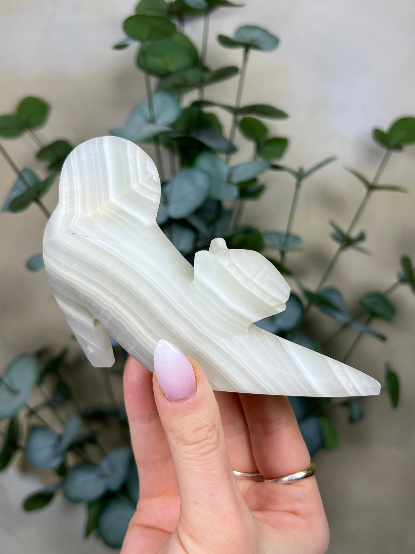 Calcite Stretching Cat (23GF)