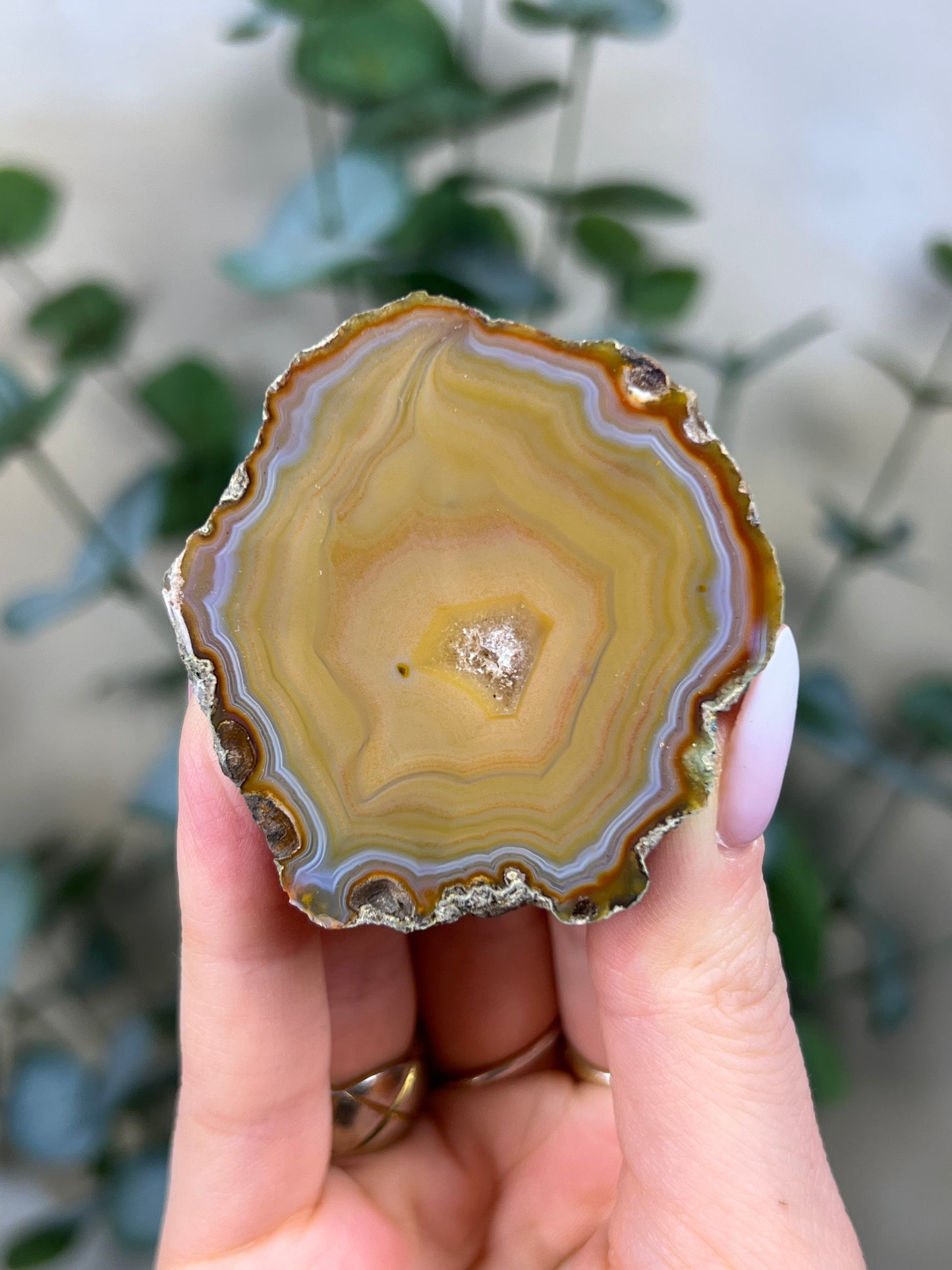 Condor Agate (77EG)