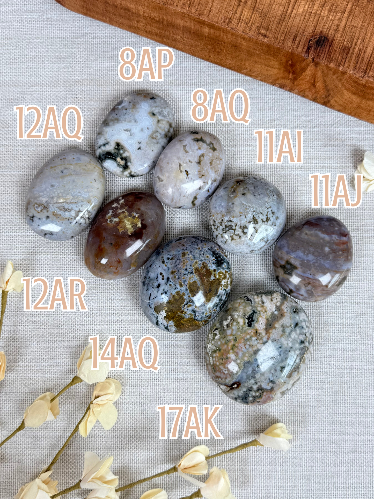 Sea Jasper Palms (8AP-17AK)
