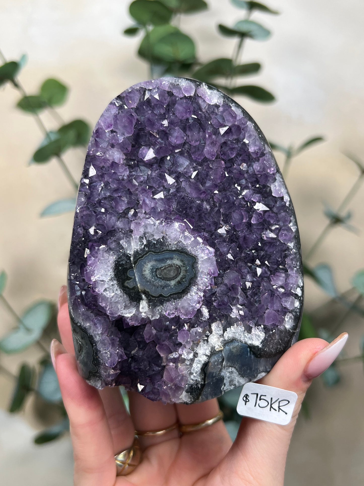 Amethyst Cut Bases (75KQ, 75KR, 77KD)