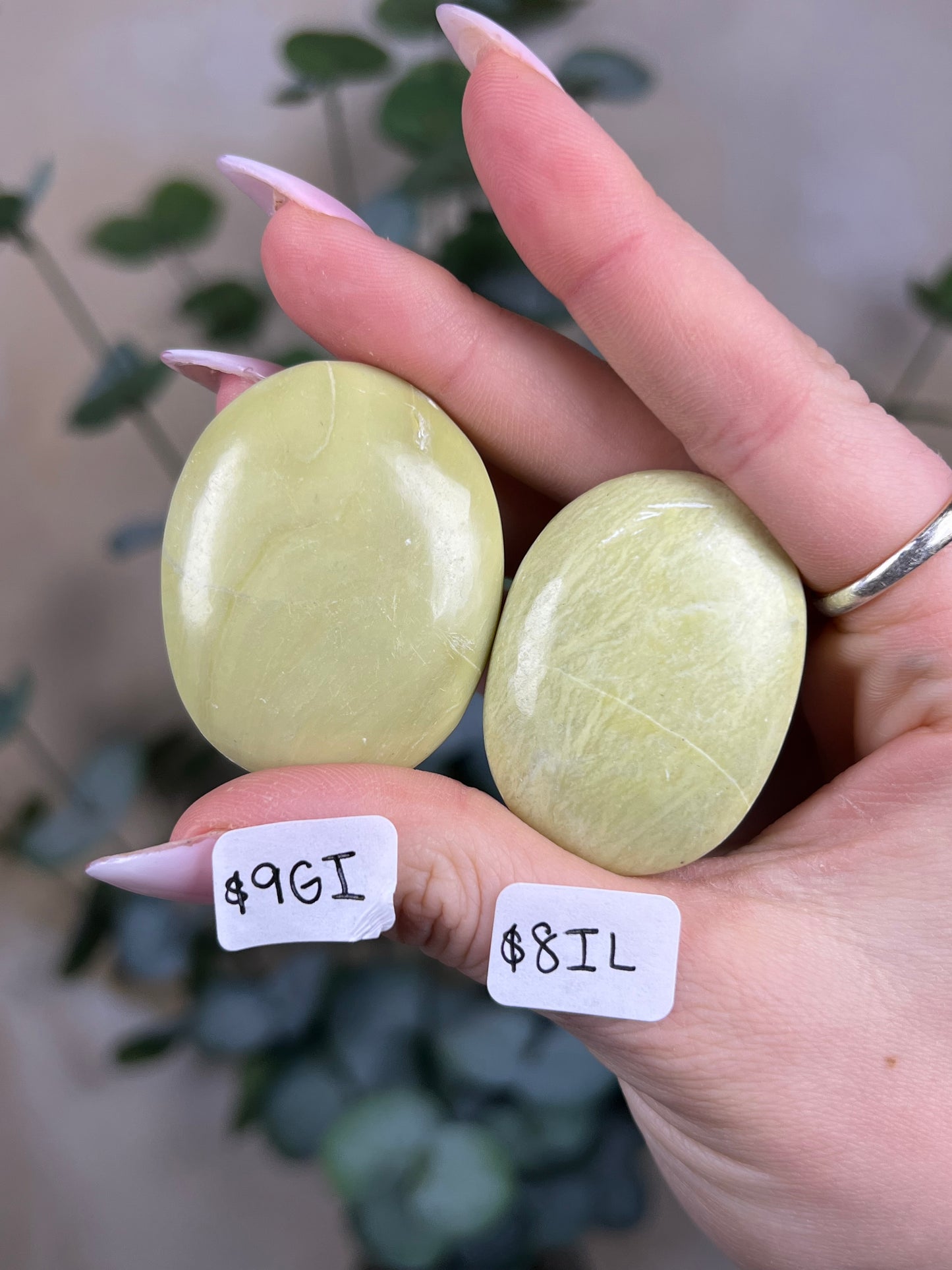 Serpentine Palms, India (8 options)