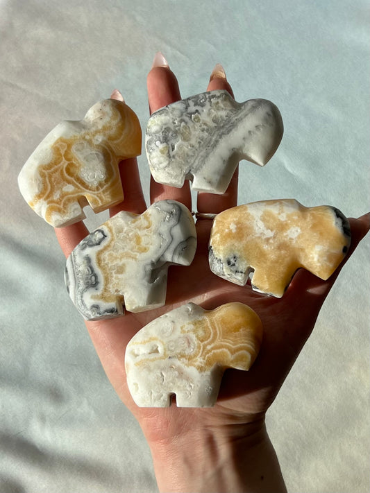 Calcite Buffalos (19GE, 19GF, 19GH-19GJ)