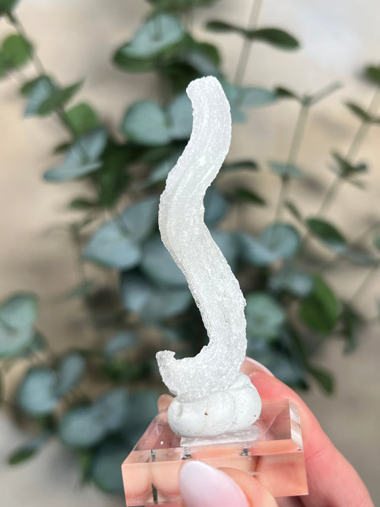 Horn Selenite (34EF)