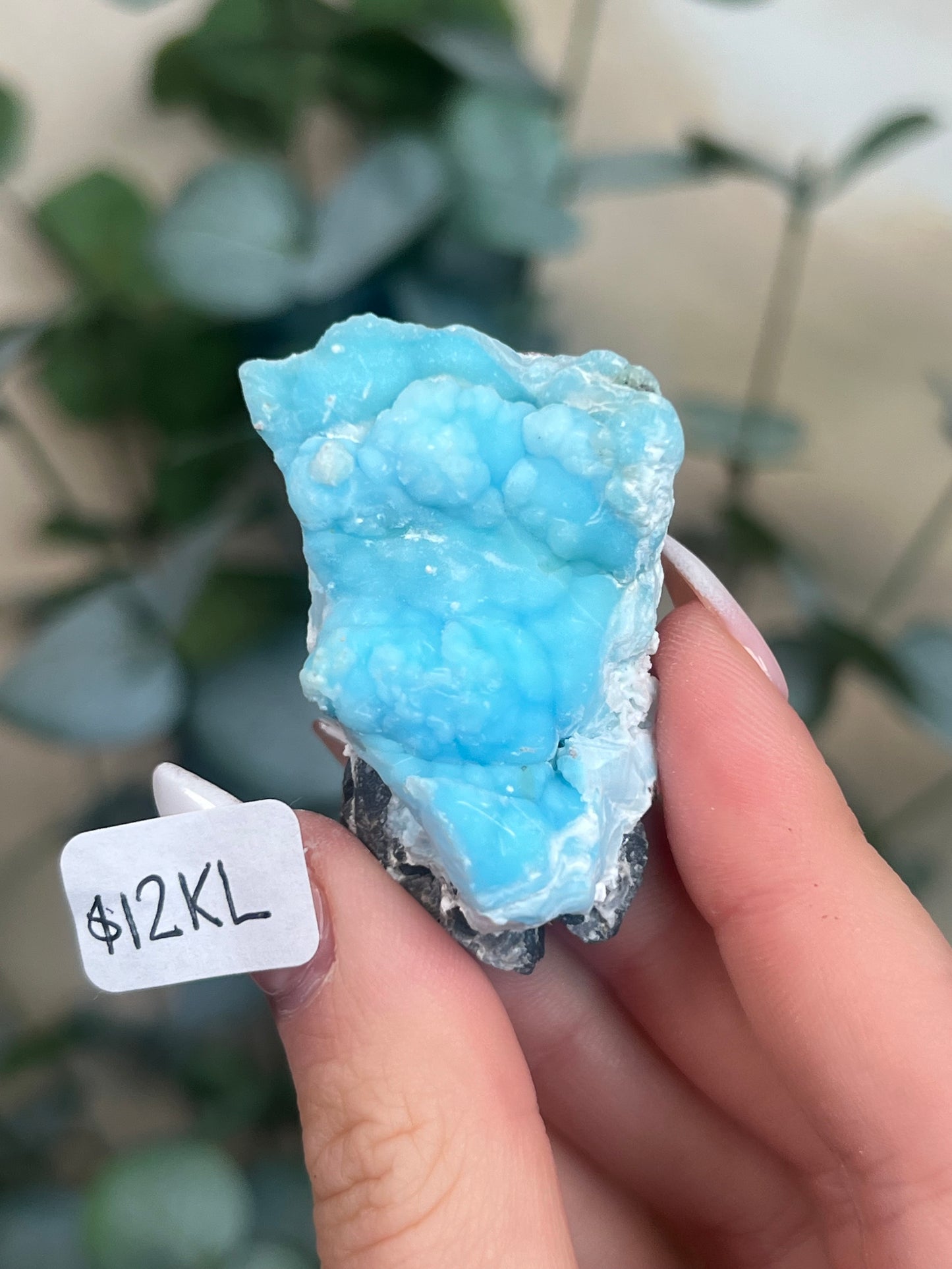 Blue Aragonite (12-16, 7 options)