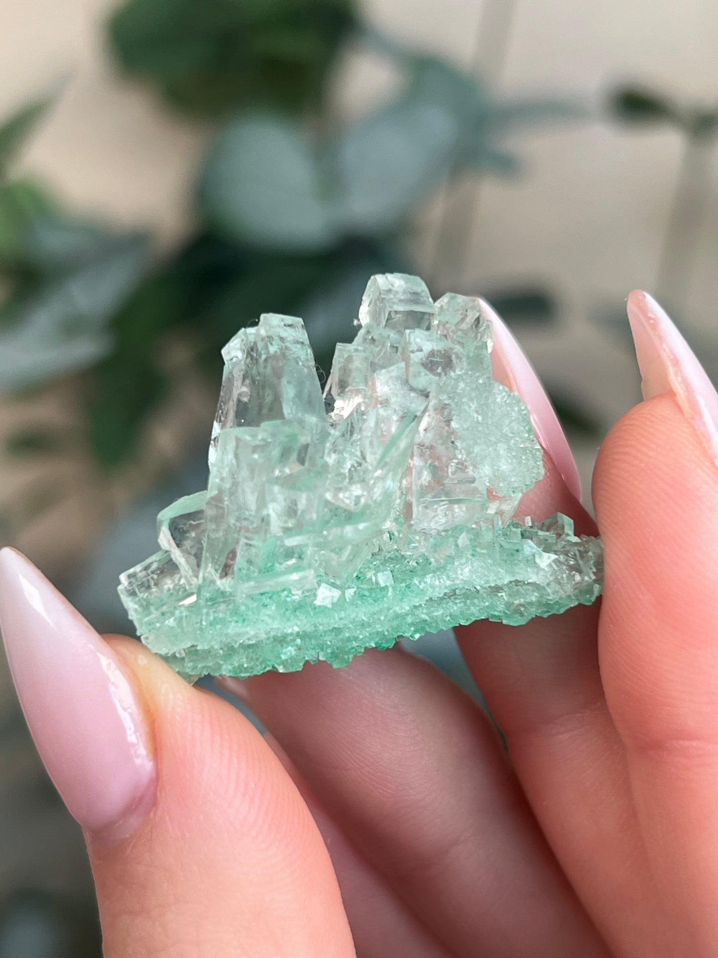 Green Halite with Display Block (70KI)