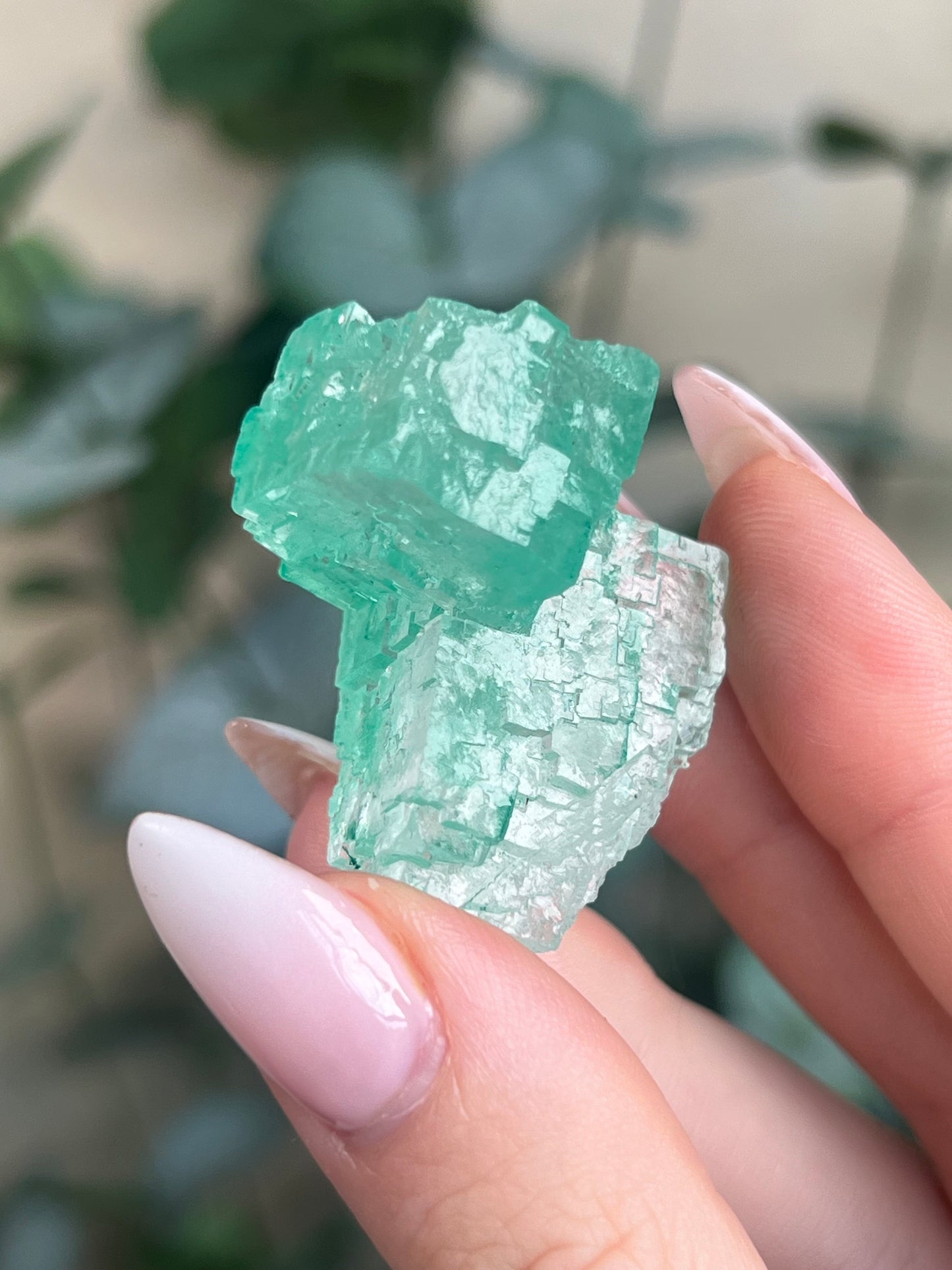 Green Halite with Display Block (85KD)