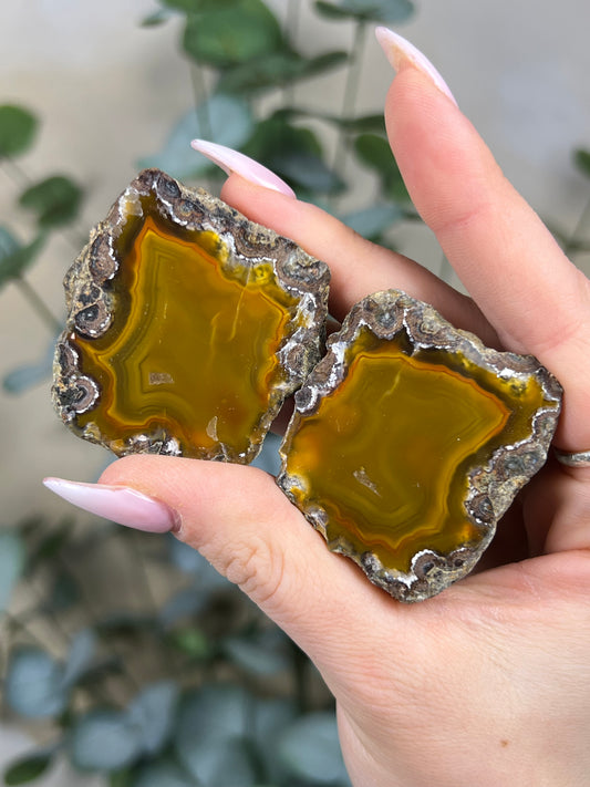 Condor Agate Pair (60EJ)