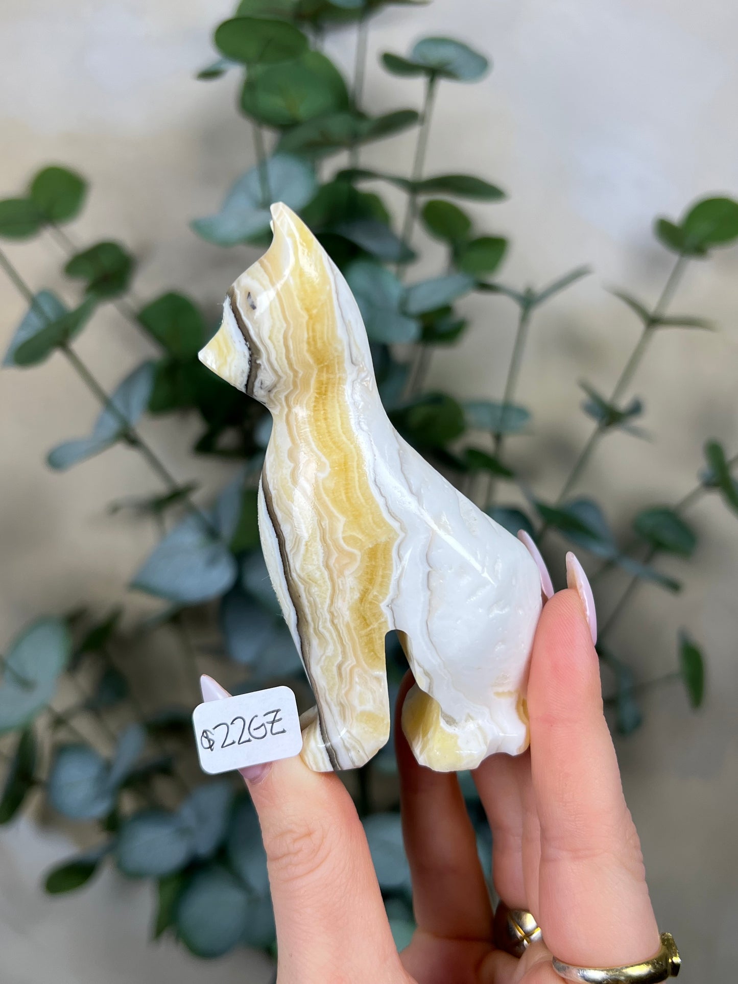 Calcite Cats (22GX-22HA)