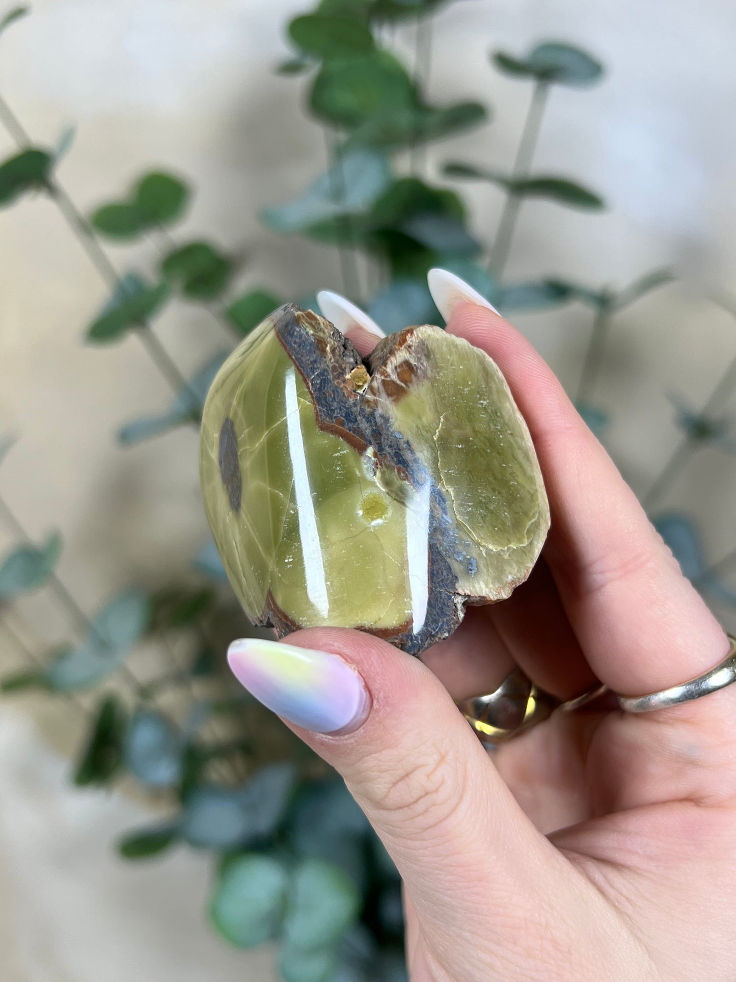 Argentinian Orbicular Jasper (64AA)