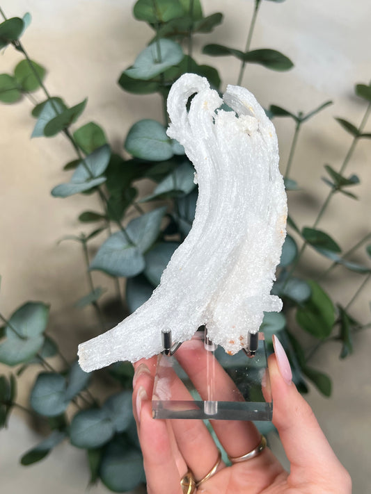 Horn Selenite (119EA)