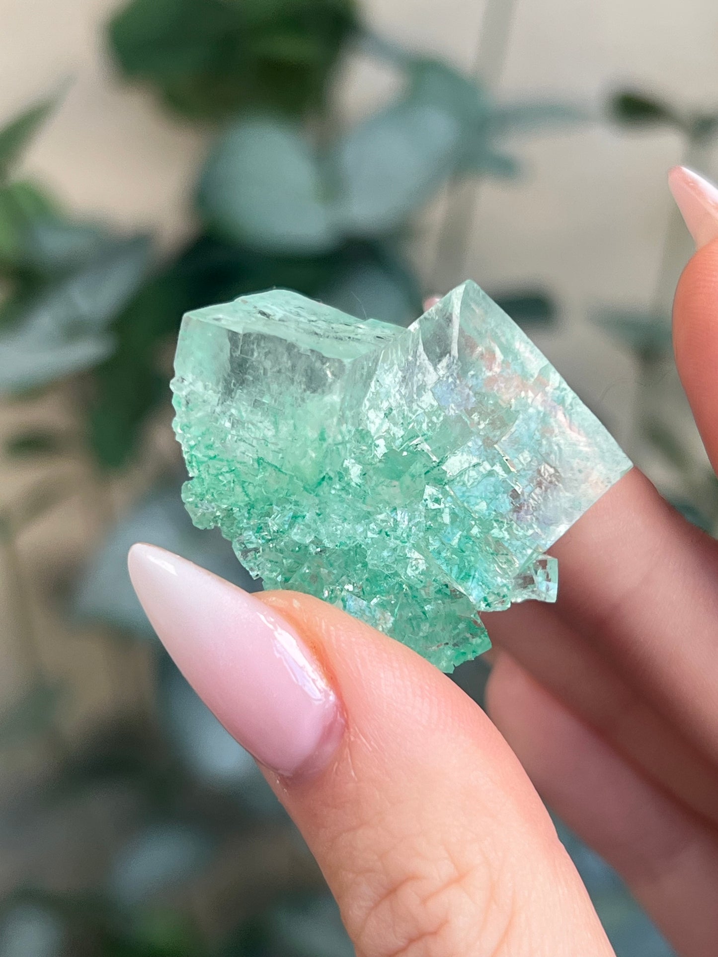 Green Halite with Display Block (90KE)