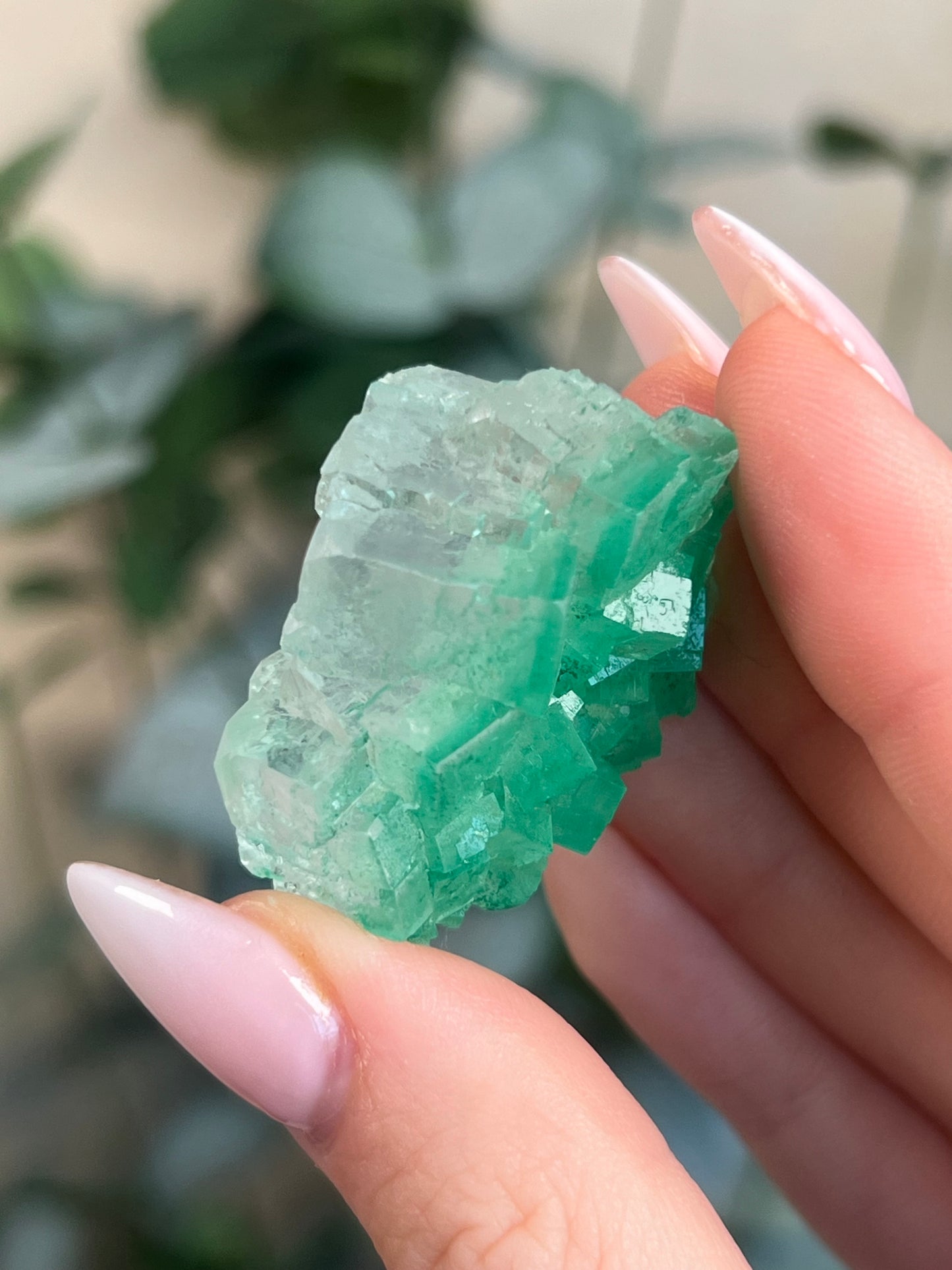 Green Halite with Display Block (55KY)