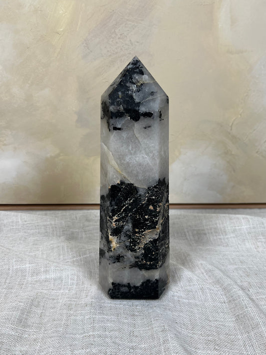 Tourmaline in Quartz Tower (224AA)
