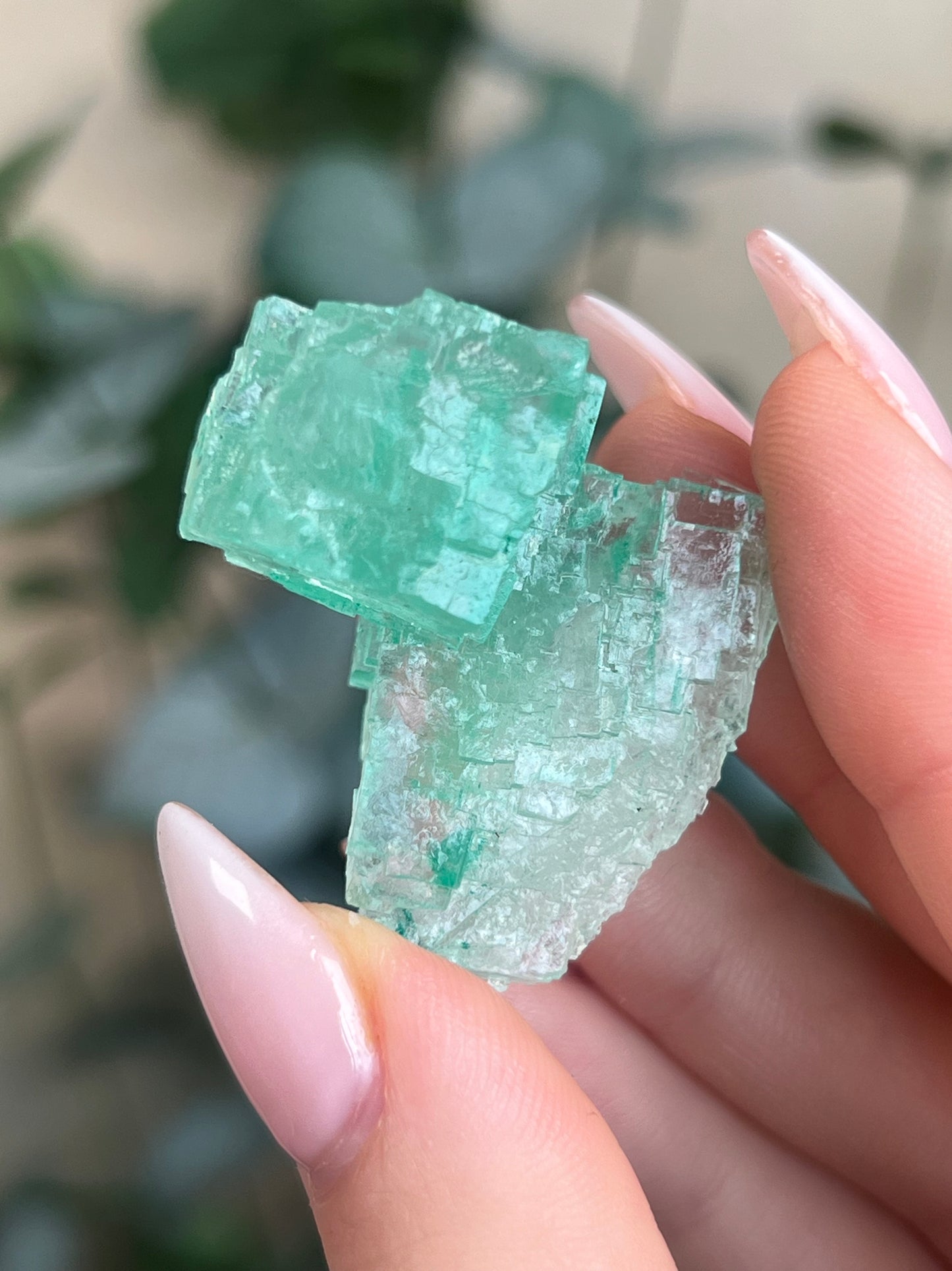 Green Halite with Display Block (85KD)