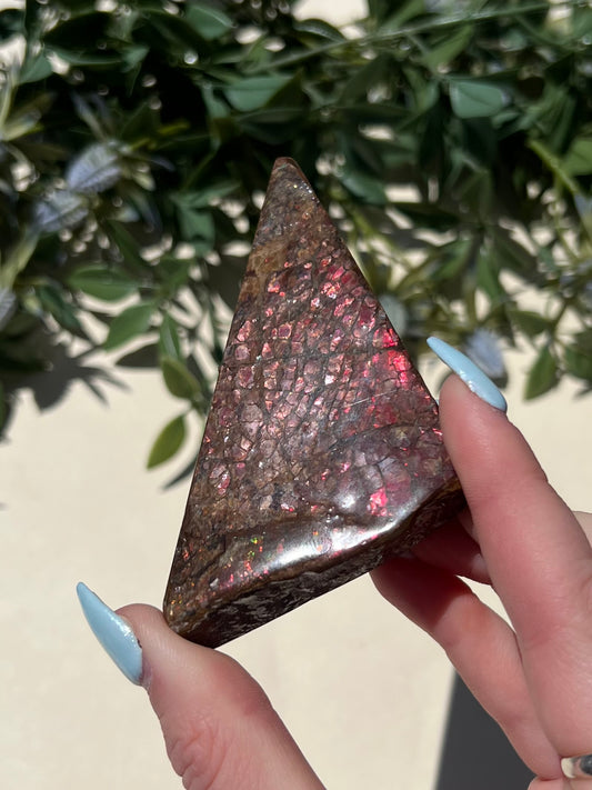 Ammolite (52AB)