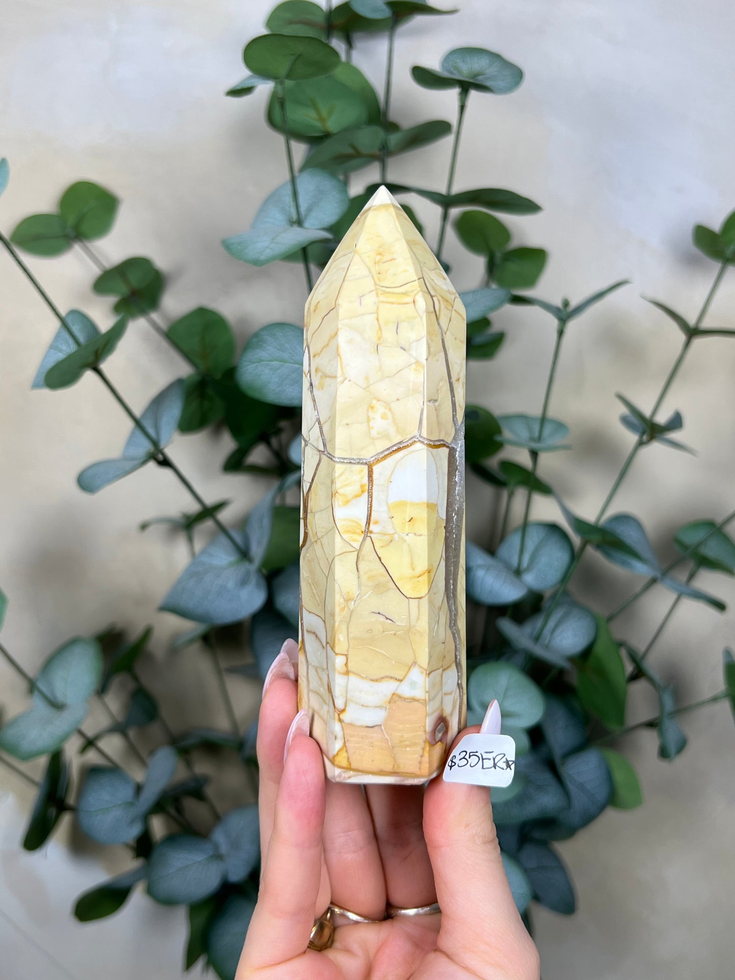 Ibis Jasper Towers (35ER, 36EX)