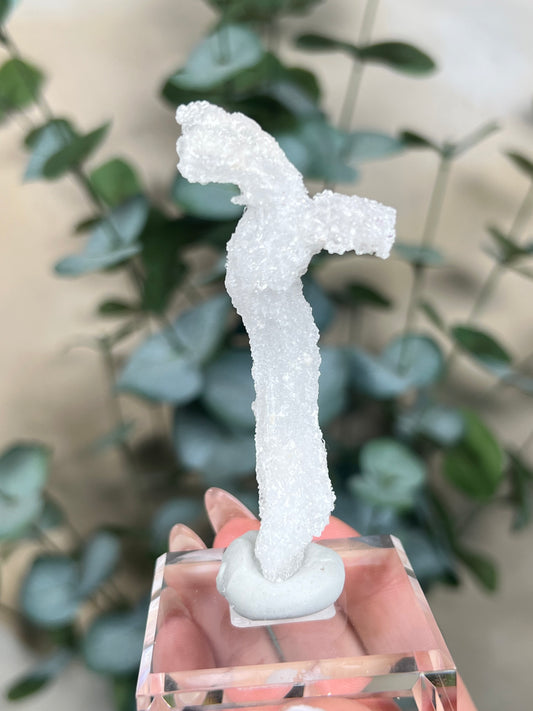 Horn Selenite (42EC)