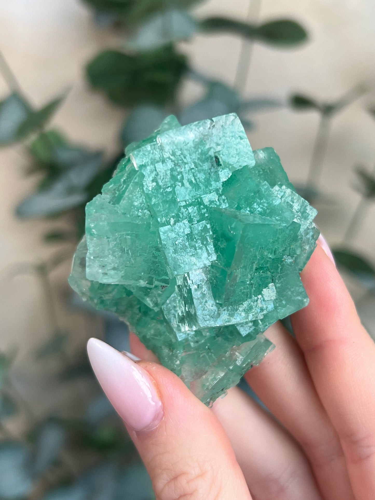 Green Halite with Display Stand (121KB)