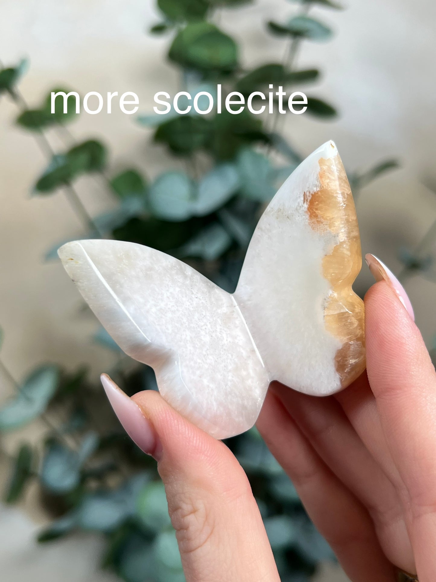 Stilbite in Scolecite Butterflies