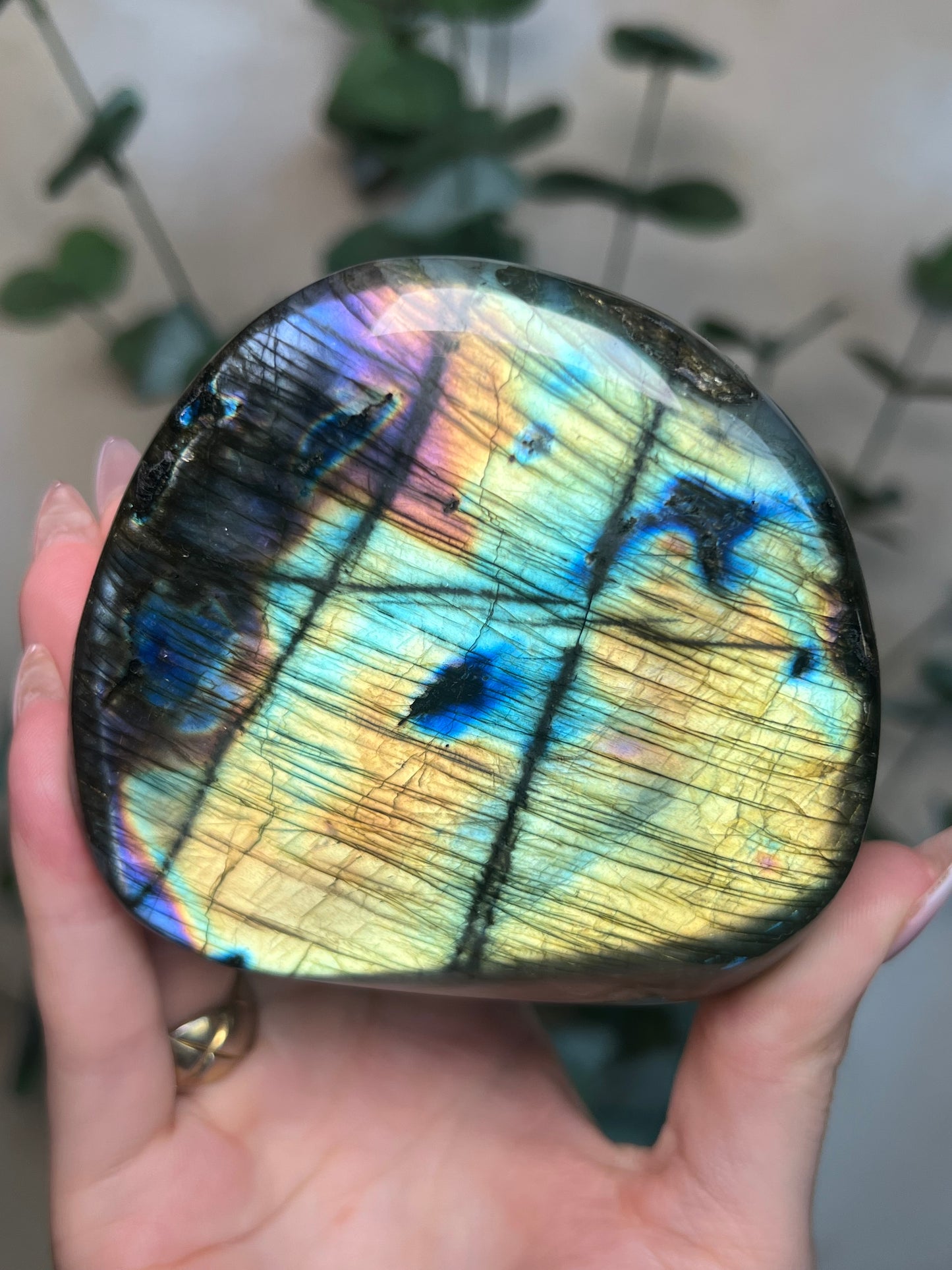 Labradorite Freeform HQ (124KD)