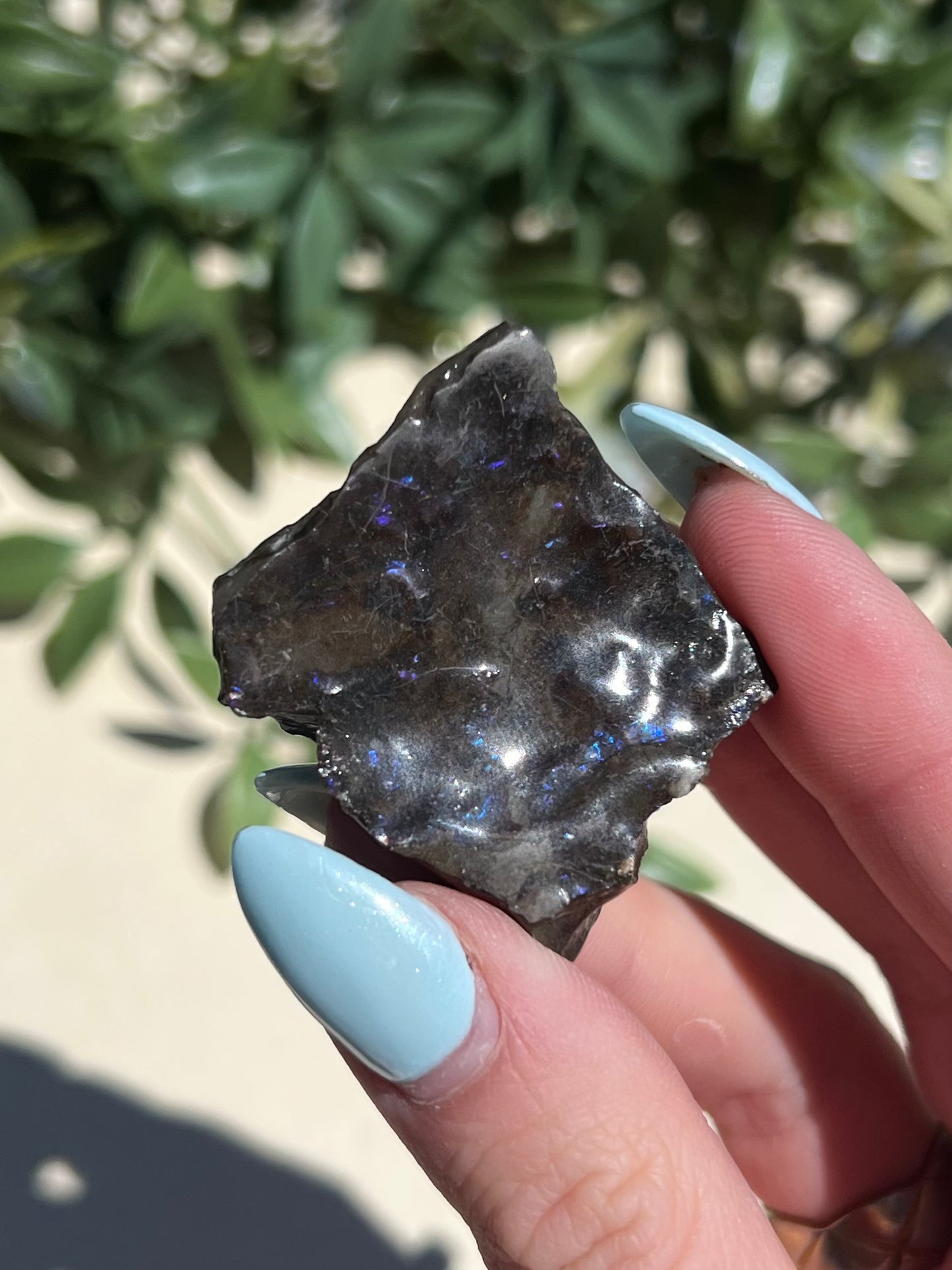 Ammolite (10AI)