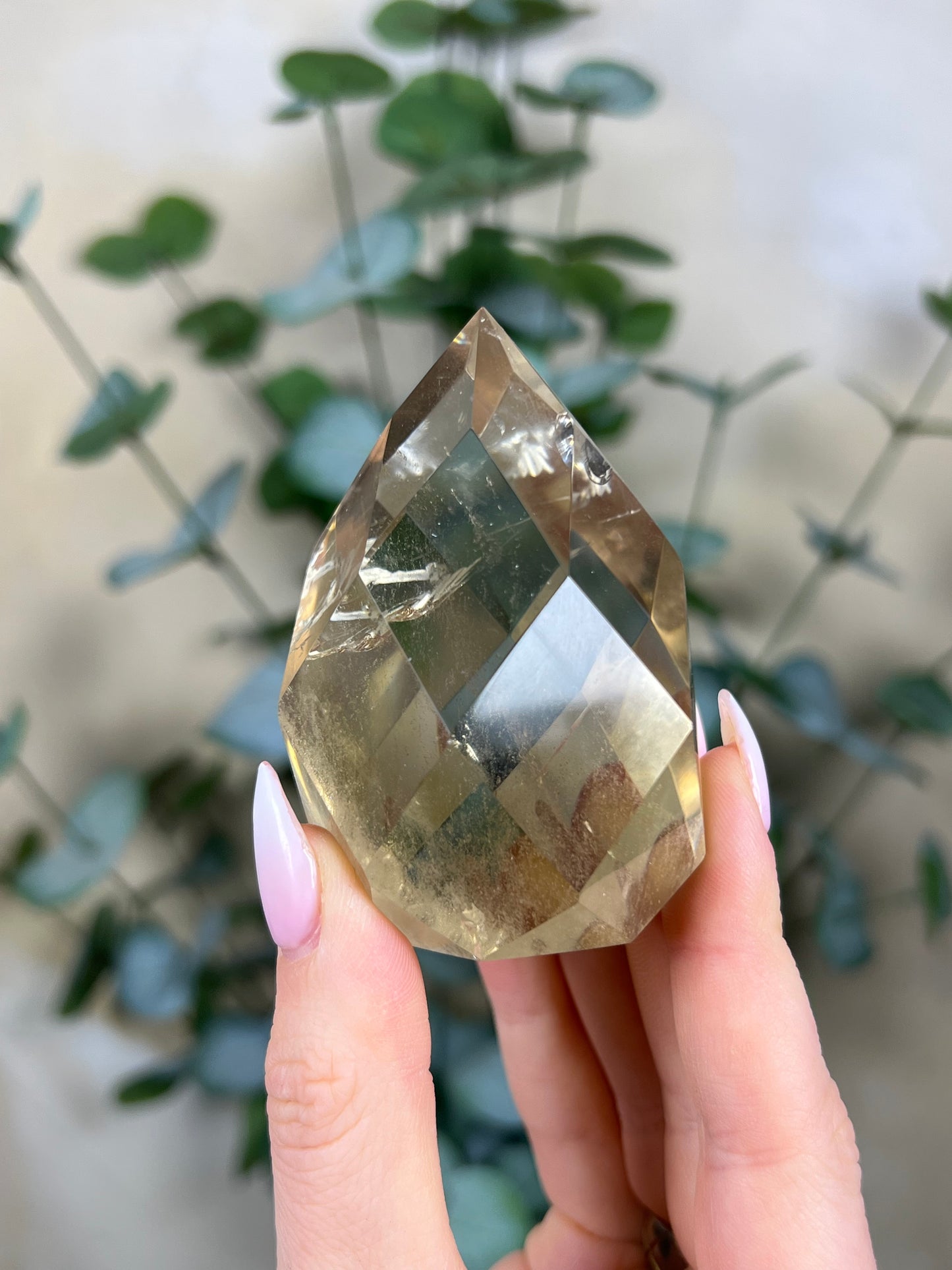 Quartz Faceted Freeform (119EB)
