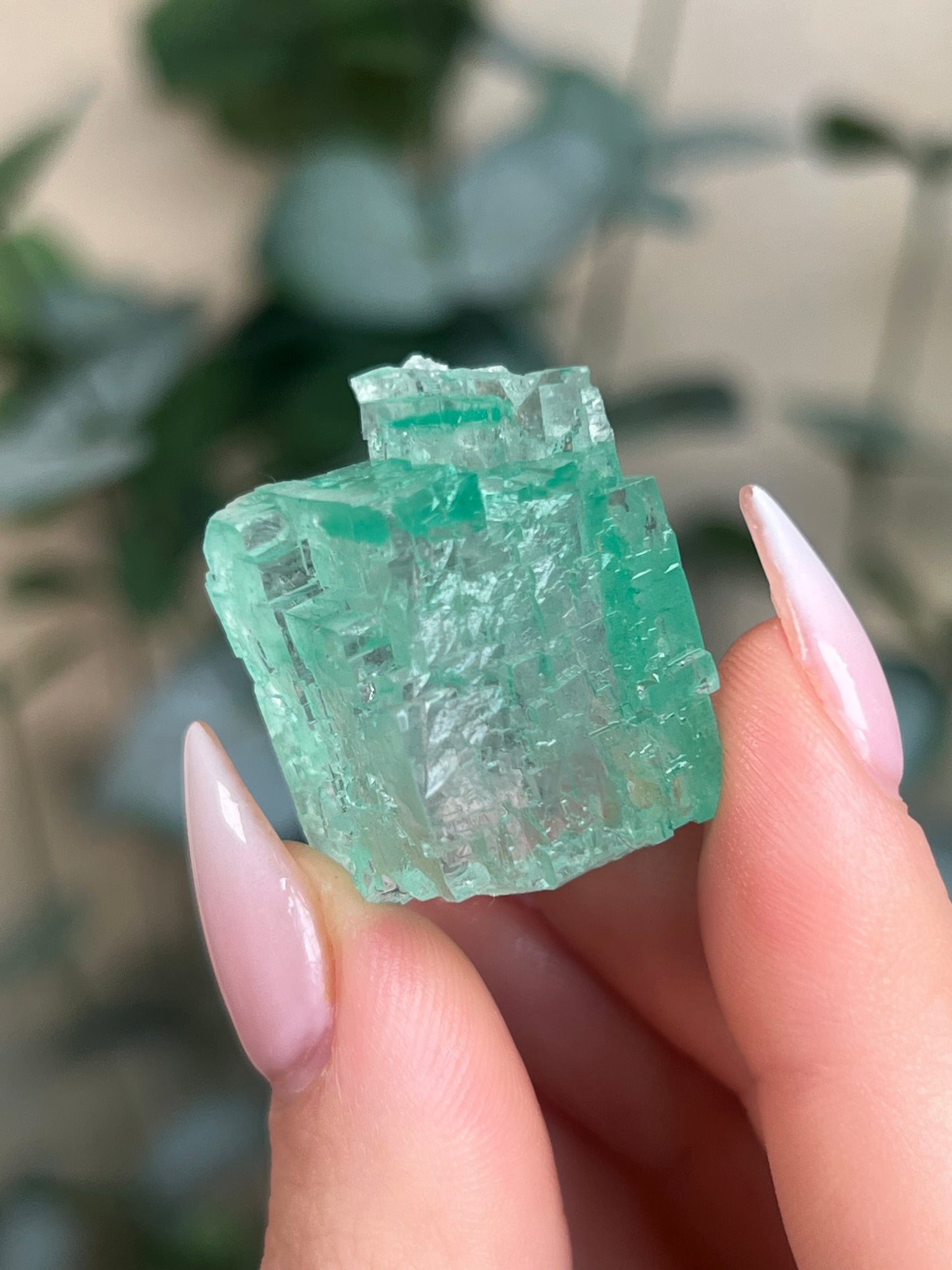 Green Halite with Display Block (65KJ)