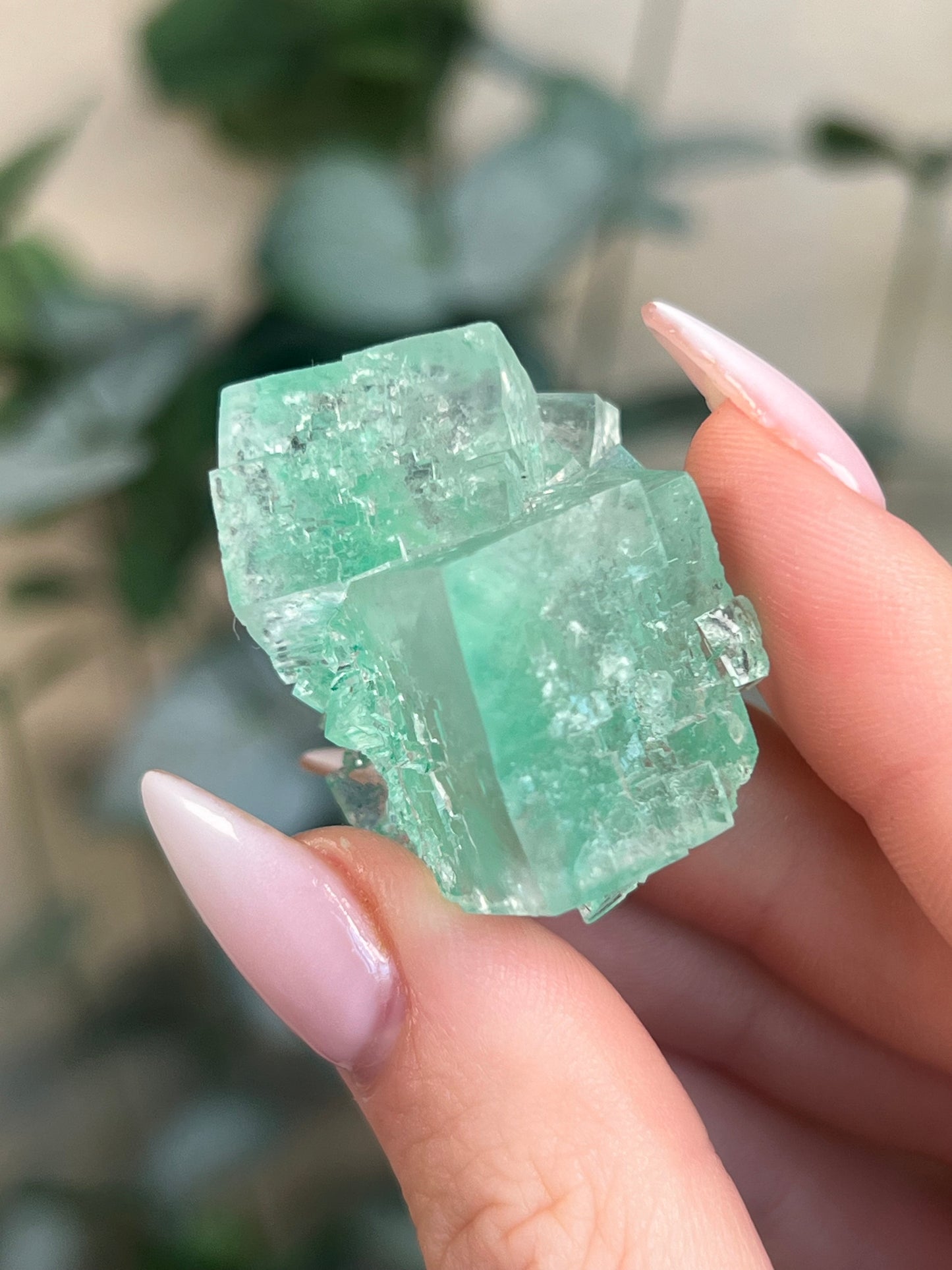 Green Halite with Display Block (90KE)