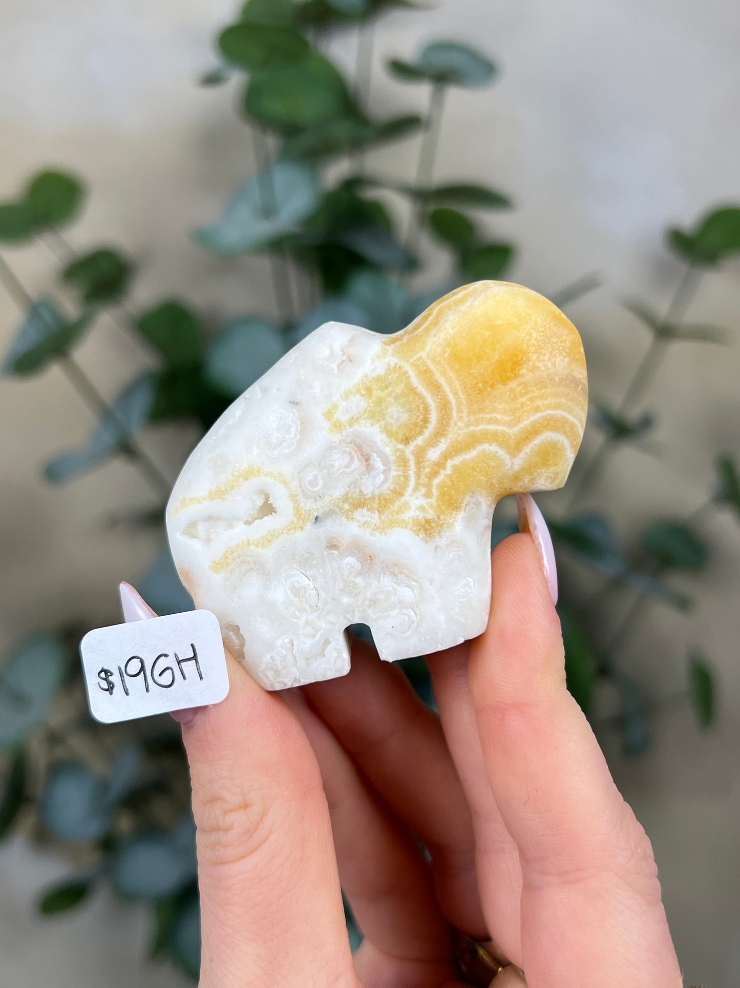 Calcite Buffalos (19GE, 19GF, 19GH-19GJ)