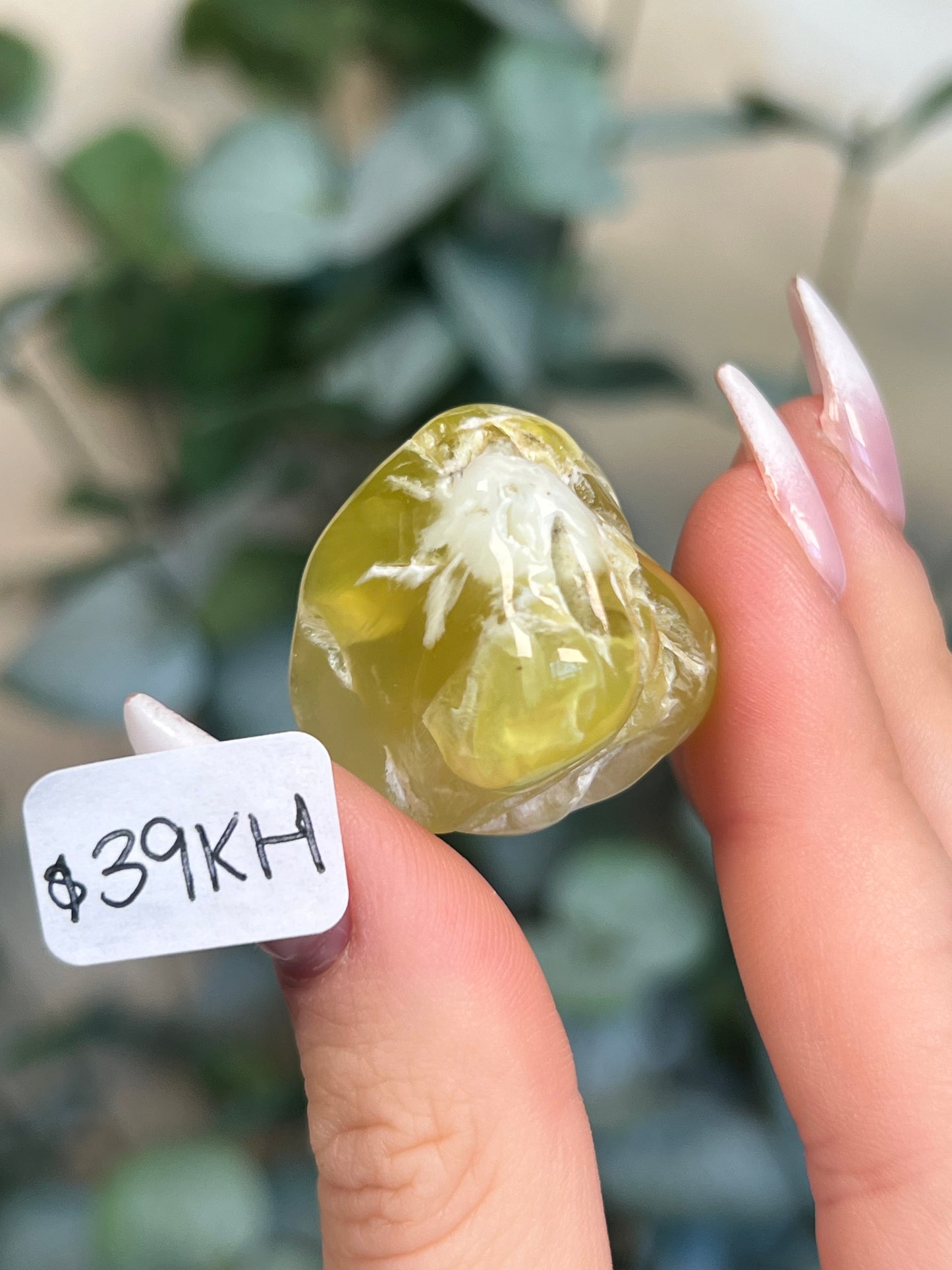 Australian Prehnite Polished (35-39, 5 options)