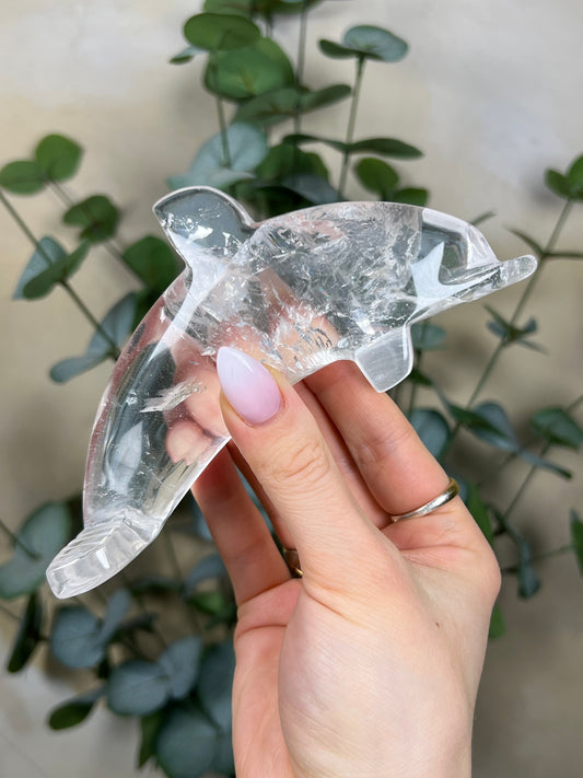 Quartz Dolphin (97EC)