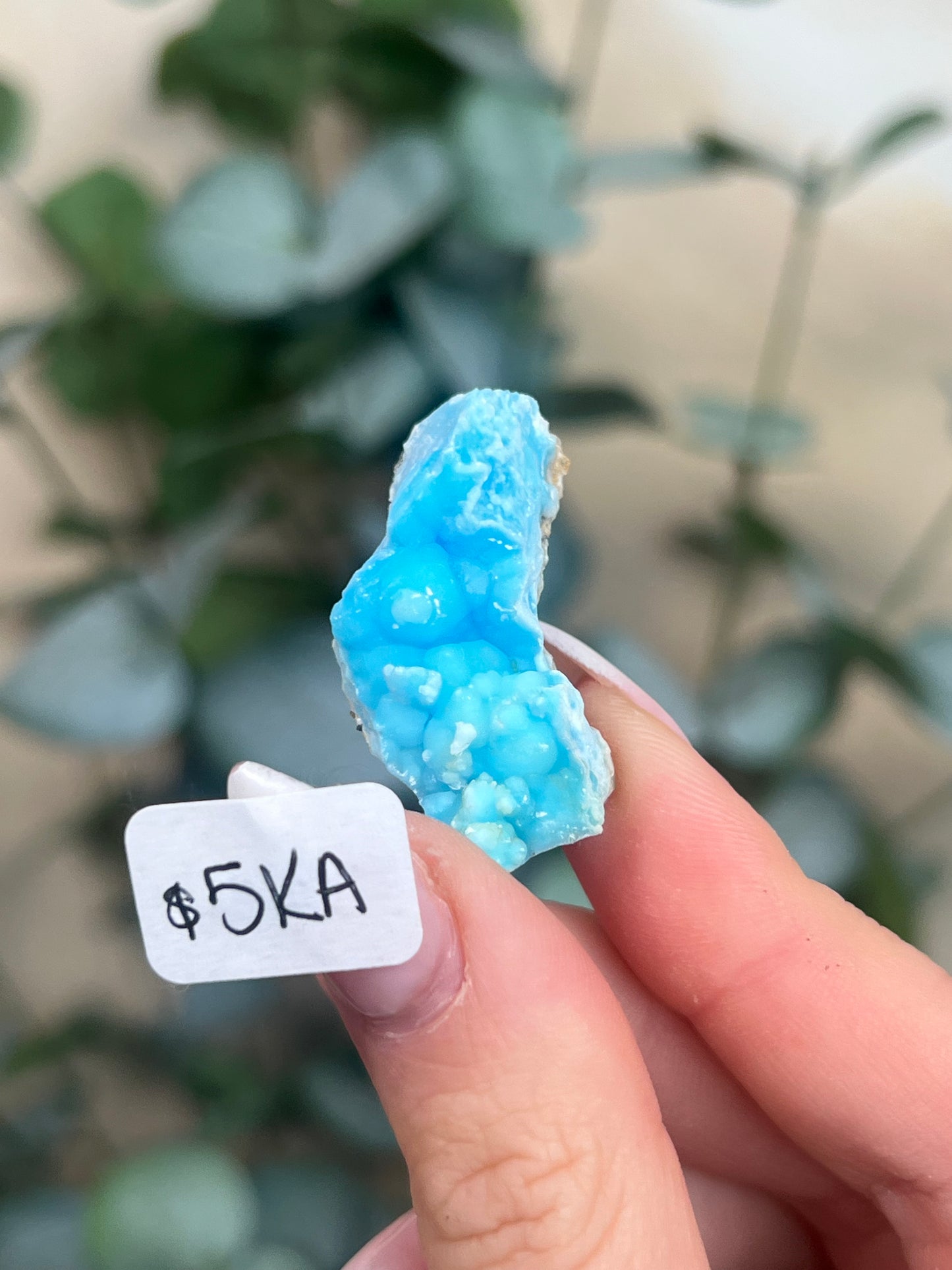 Blue Aragonite (5-10, 6 options)