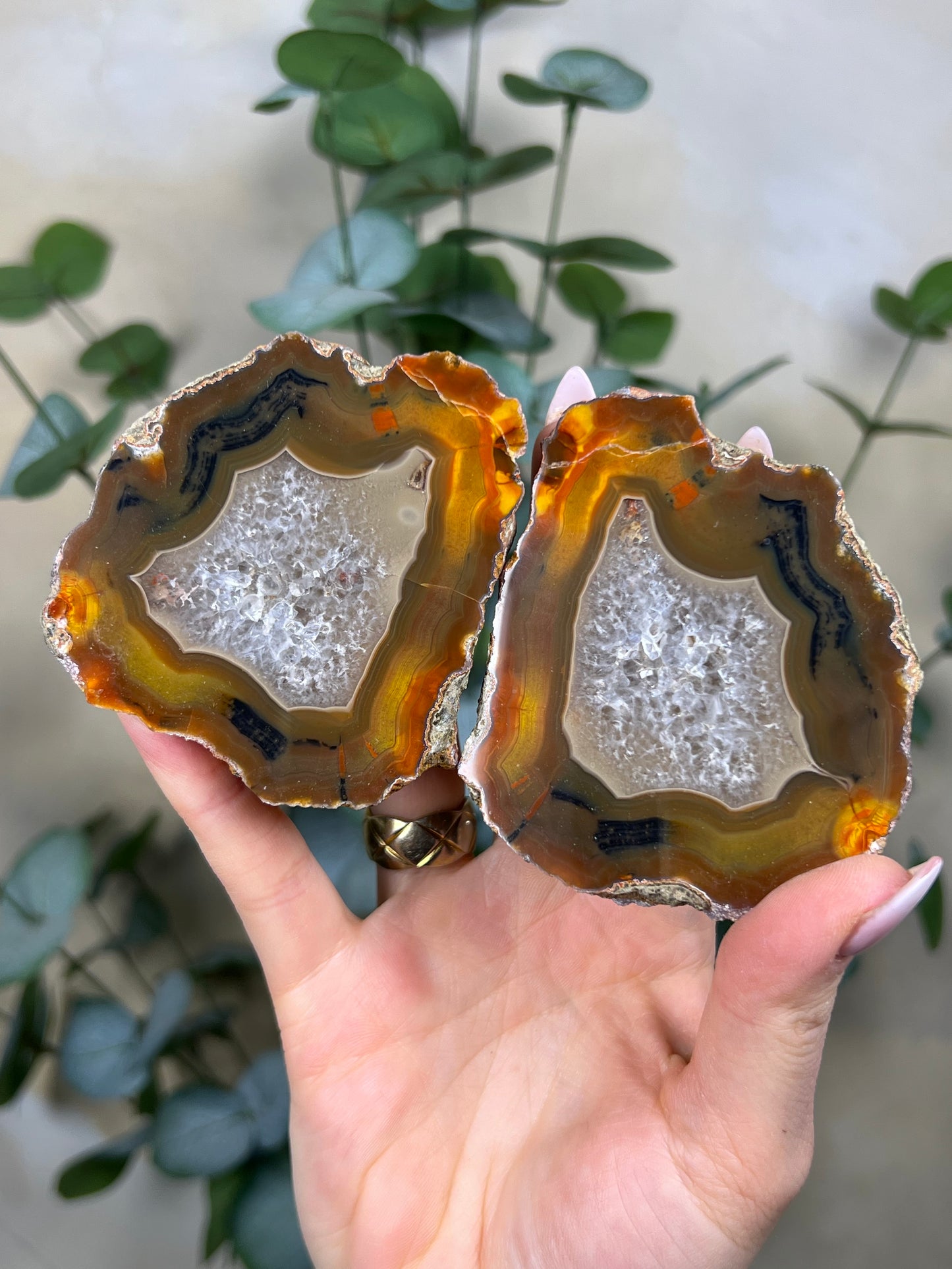 Condor Agate Pair (118EB)