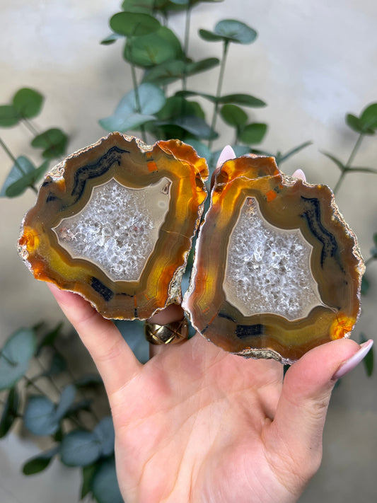 Condor Agate Pair (118EB)