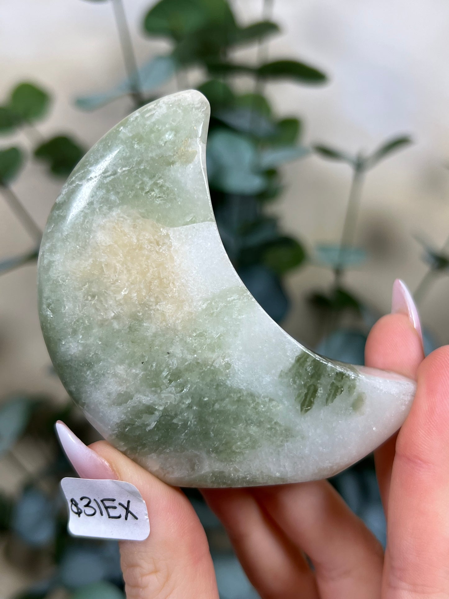 Green Kyanite in Quartz Standing Moons (31EX, 32FI)