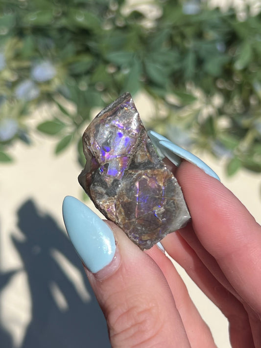 Ammolite (15AL)