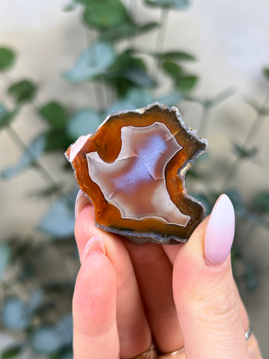 Condor Agate (15HF)