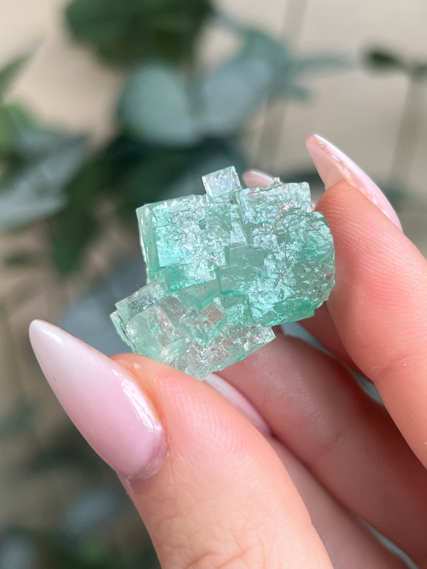 Green Halite with Display Block (60KP)