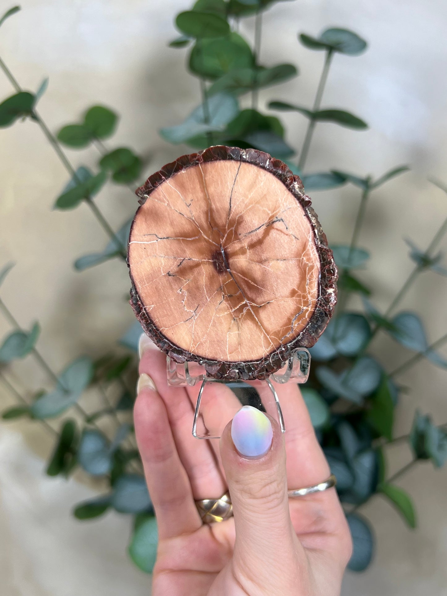 Argentinian Orbicular Jasper (64AB)