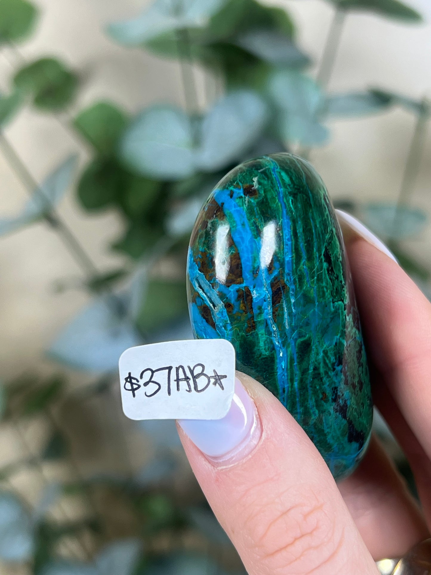 Malachite Chrysocolla Freeforms (37AB-61AA)