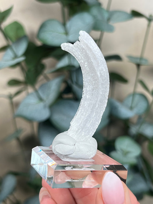 Horn Selenite (20EK)