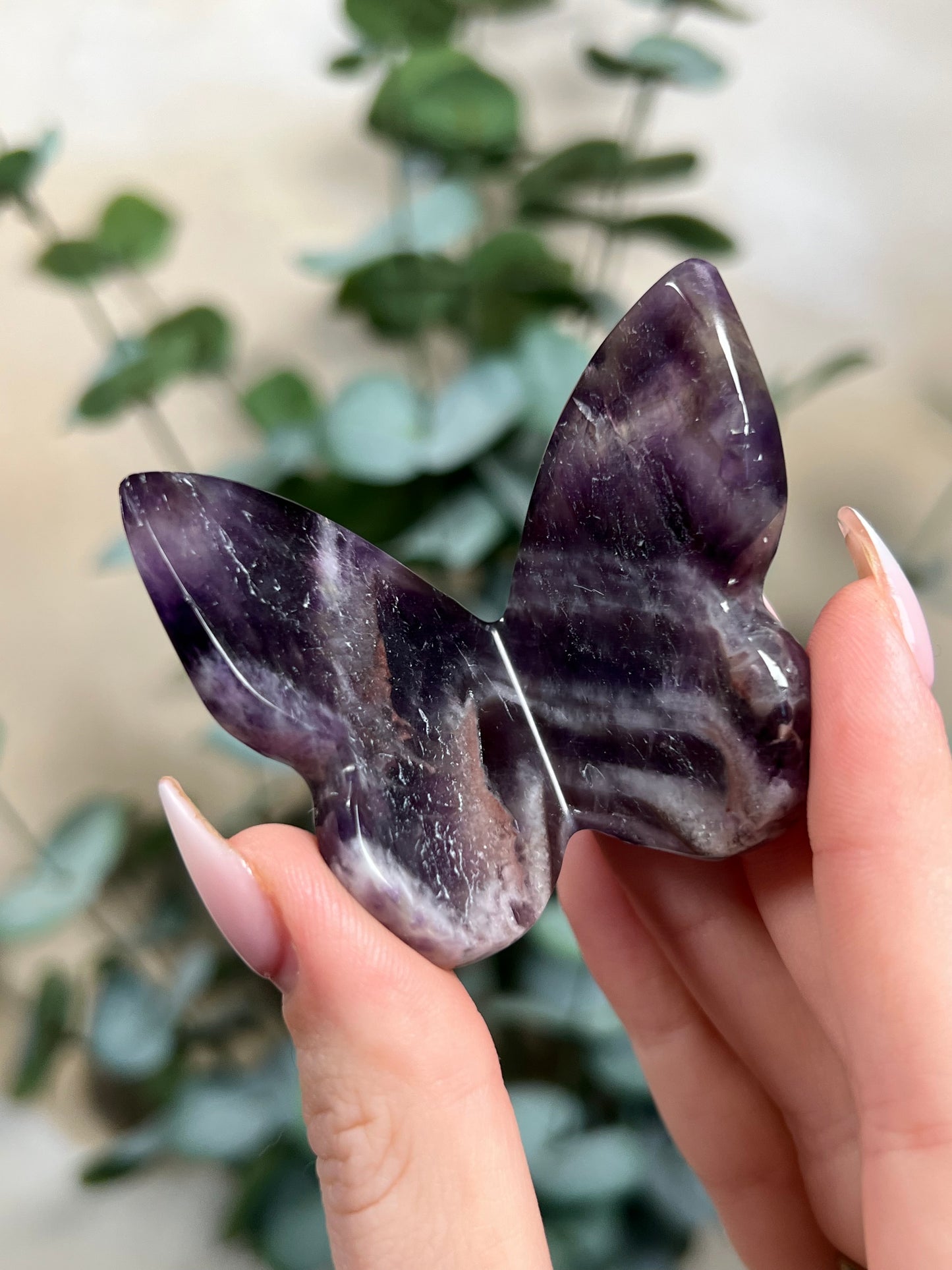 Amethyst Butterflies