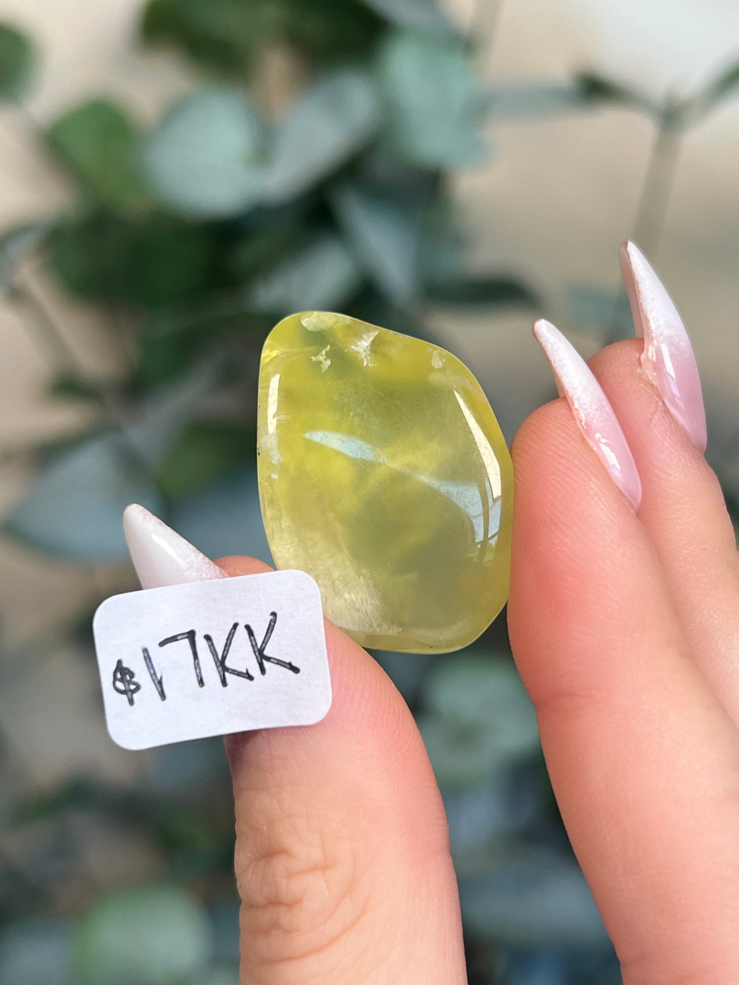 Australian Prehnite Polished (16-24, 6 options)