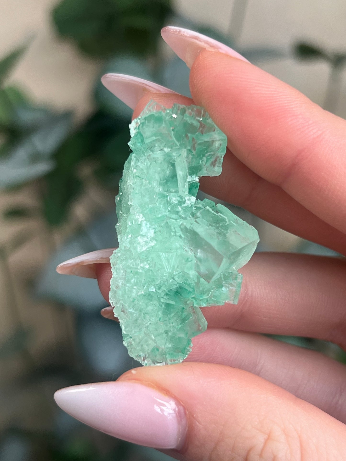 Green Halite with Display Block (54KS)