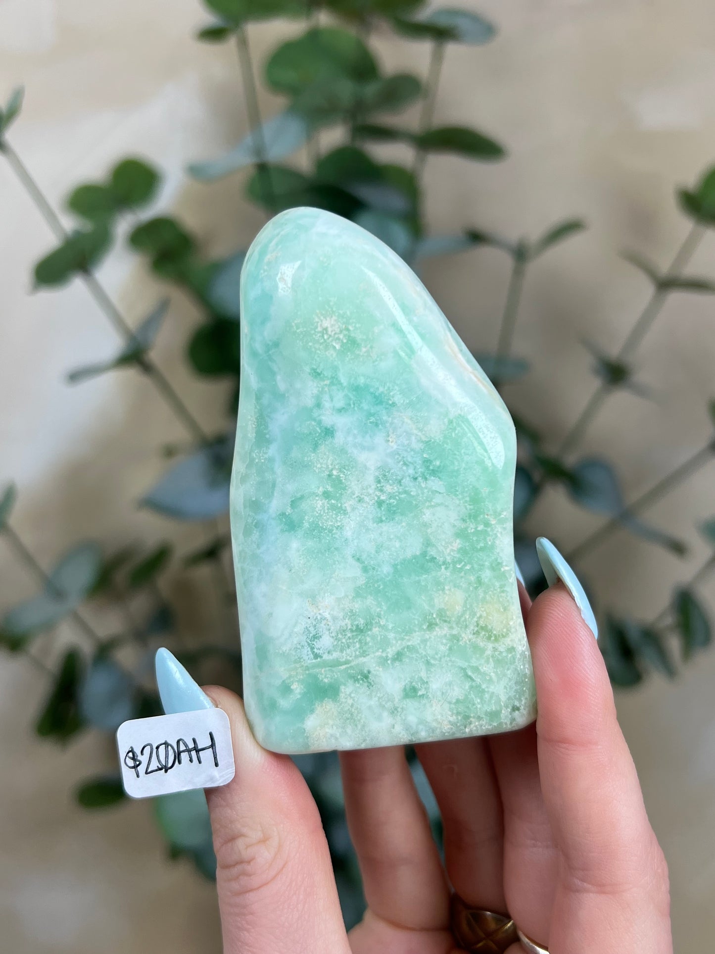 Caribbean Calcite Freeforms (15AJ-22AD)