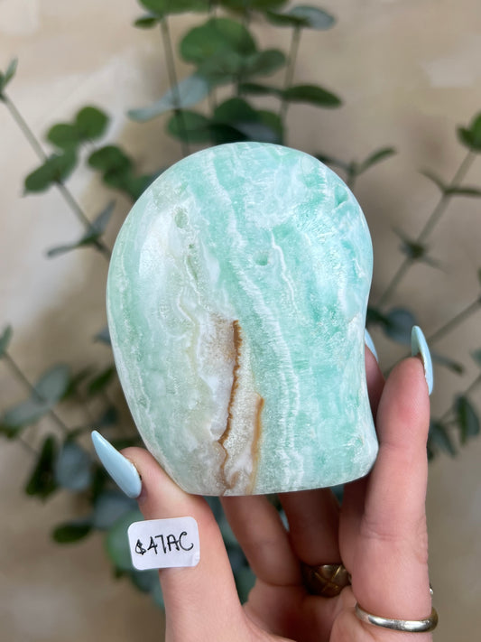 Caribbean Calcite Freeforms (47AC, 50AC)