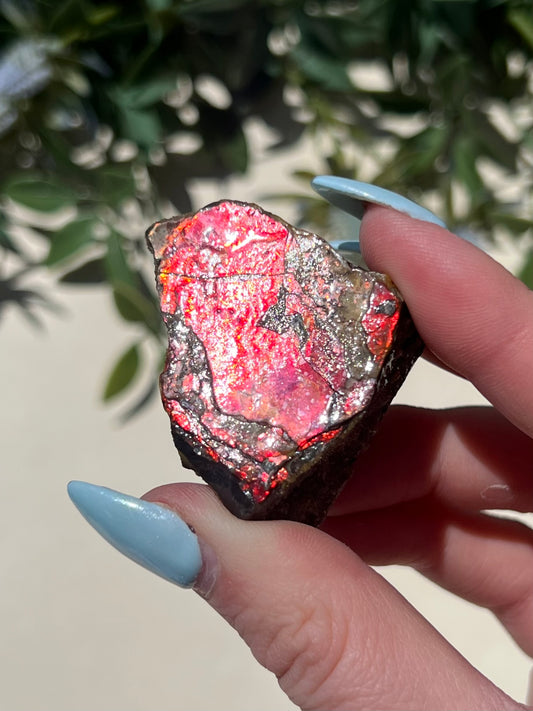 Ammolite (28AH)