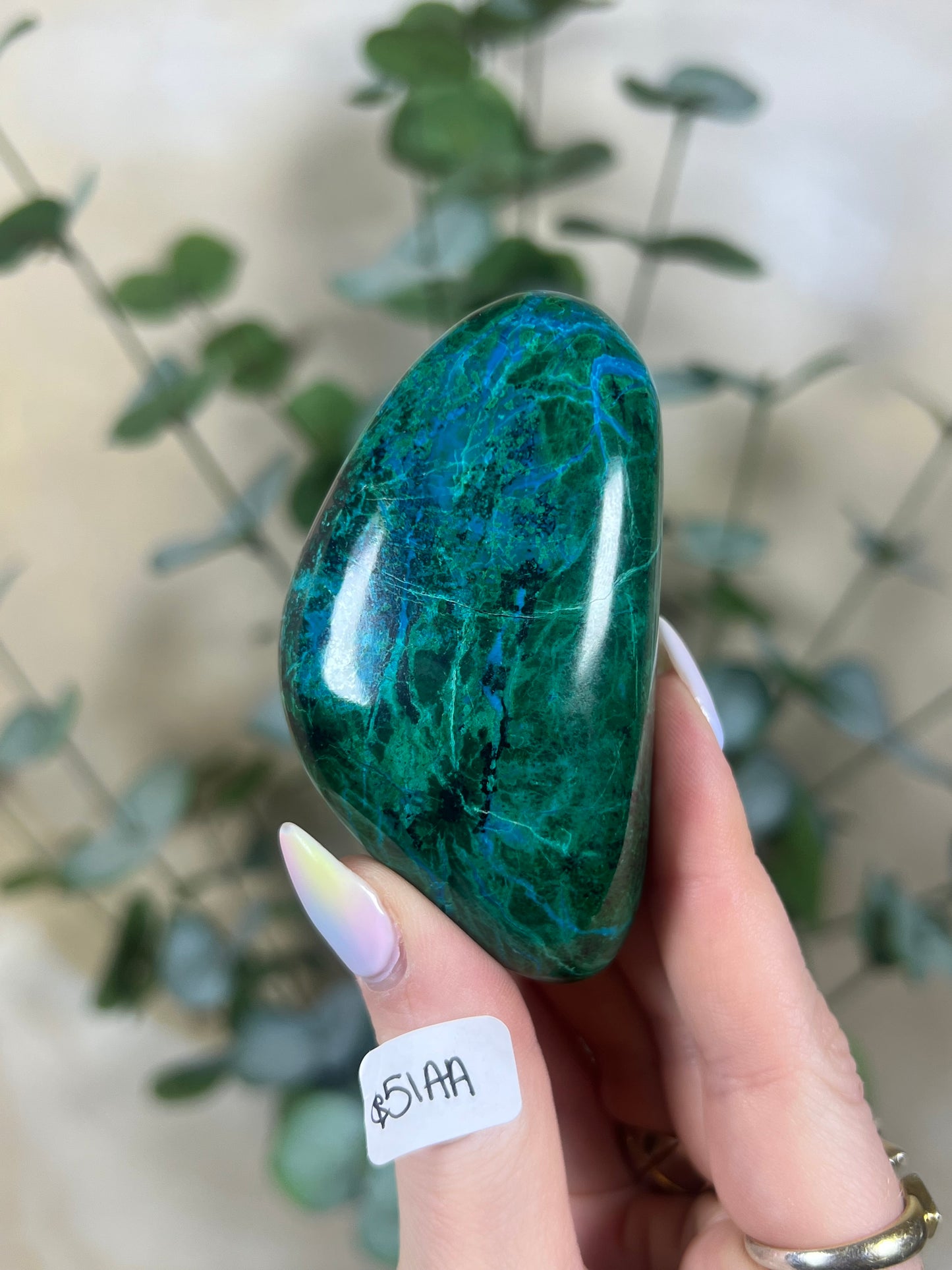 Malachite Chrysocolla Freeforms (37AB-61AA)