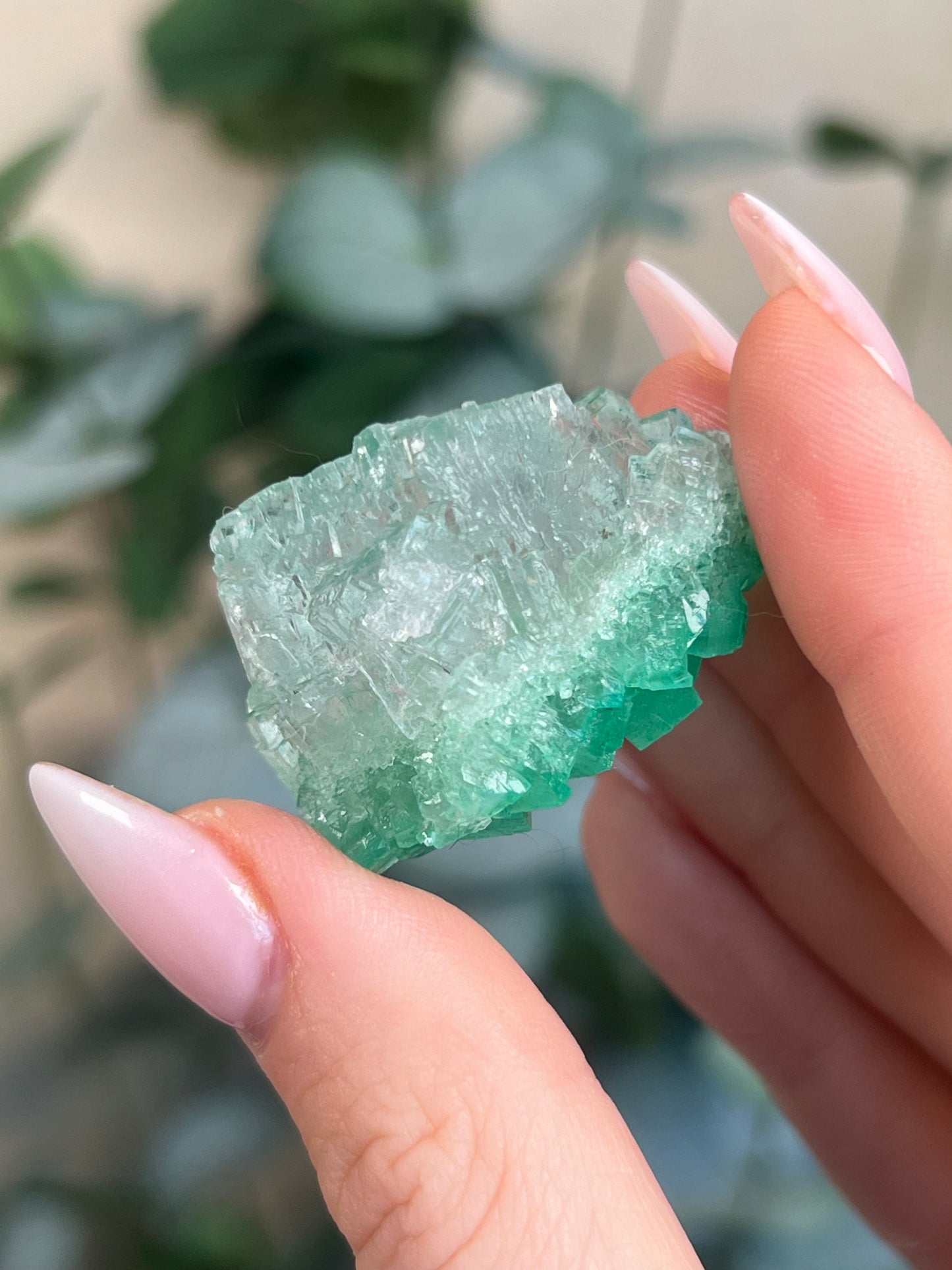 Green Halite with Display Block (55KY)